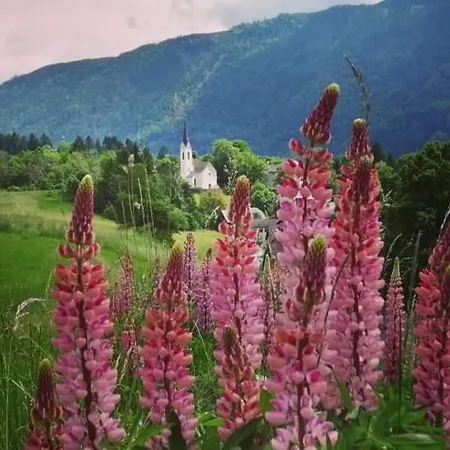 Zum Fuchs - Familie Andrae Hermagor-Pressegger See